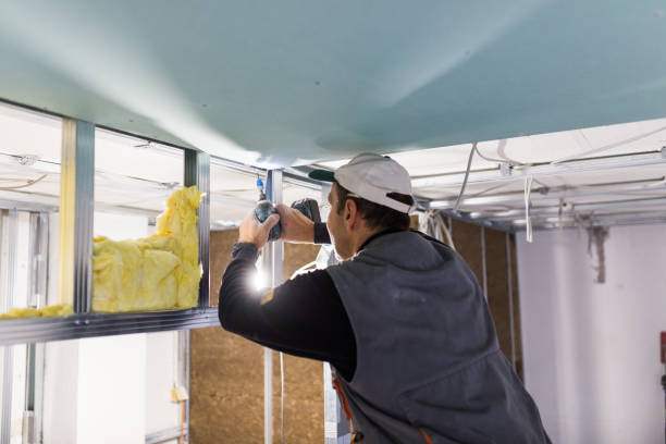 Types of Insulation We Offer in Medina, WA